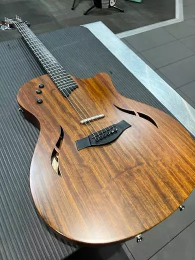 Taylor Guitars - T5-LTD09 2