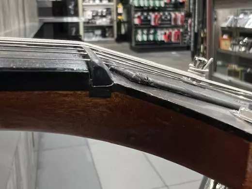 Taylor Guitars - T5-LTD09 2