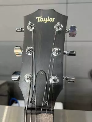 Taylor Guitars - T5-LTD09 2