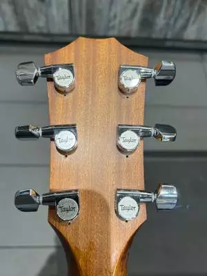 Taylor Guitars - T5-LTD09 2