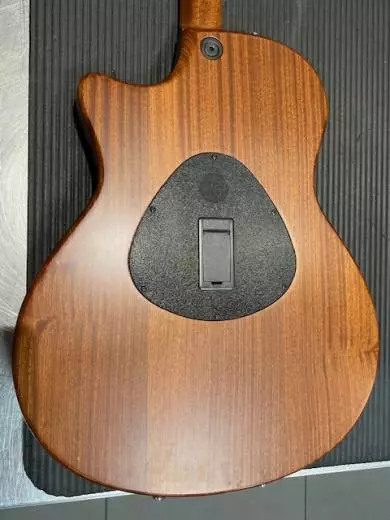 Taylor Guitars - T5-LTD09 2