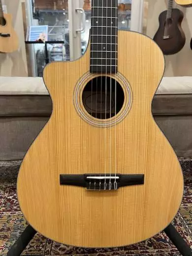 Taylor Guitars - 112CE-N LH 2