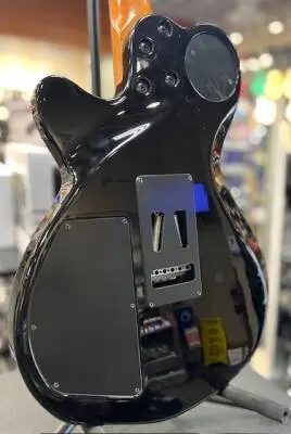 Godin Guitars - G24124 2