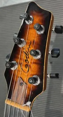 Godin Guitars - G24124 2