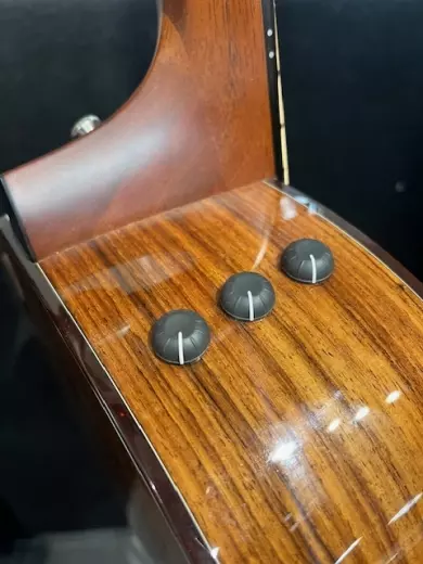 Taylor Guitars - 314CE S.E. 5