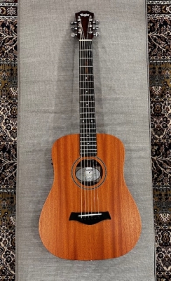 Taylor Guitars - BT2E V1