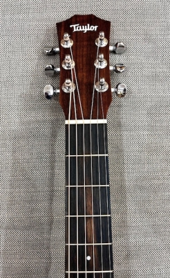 Taylor Guitars - BT2E V1 3