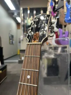 Godin Guitars - G50987 2