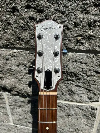 Godin Guitars - G48465 2