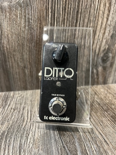 Store Special Product - TC Electronic - DITTO LOOPER