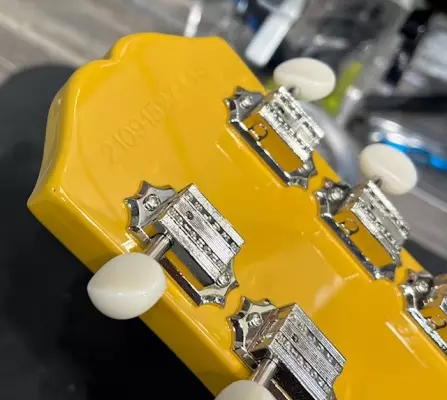Epiphone - EILPTVNH 8