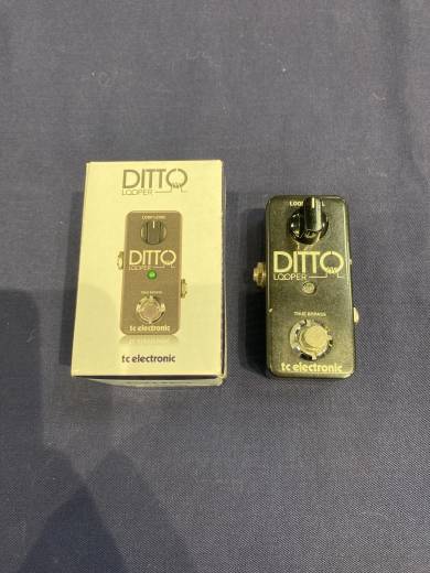 TC Electronic Ditto Looper Pedal | Long & McQuade