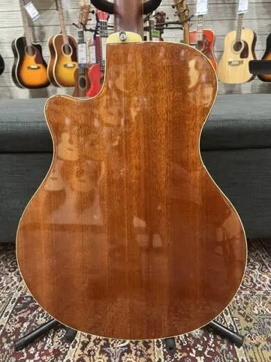 Yamaha - APX700II SDB 2