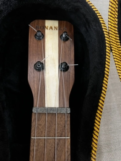 Bonanza Ukulele 2