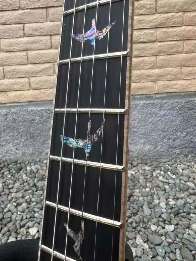 PRS Guitars SE HBII PIEZO BLK GOLD BST W/CS 2