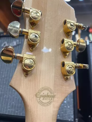 Epiphone - EMPPRONAGH 3