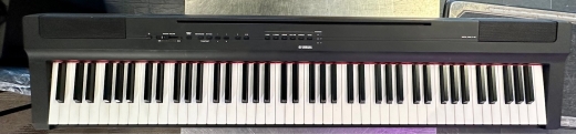 Store Special Product - Yamaha - P125 B