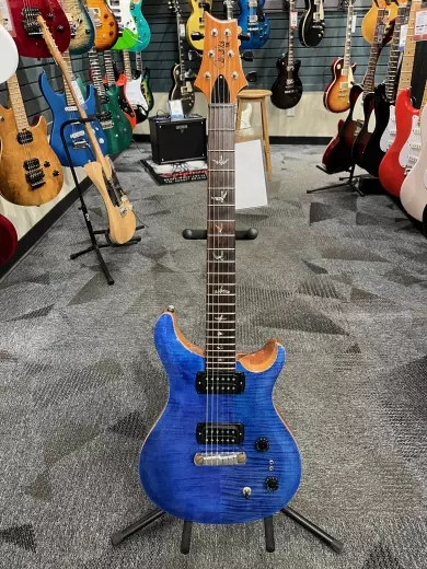 PRS SE Pauls Guitar