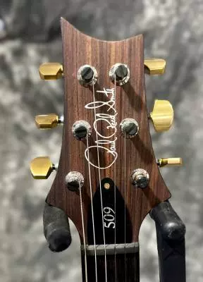 PRS 509 PURPLE IRIS 10-TOP 2