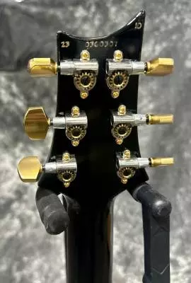 PRS 509 PURPLE IRIS 10-TOP 2