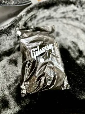 Gibson - ESSU00B8GH 2