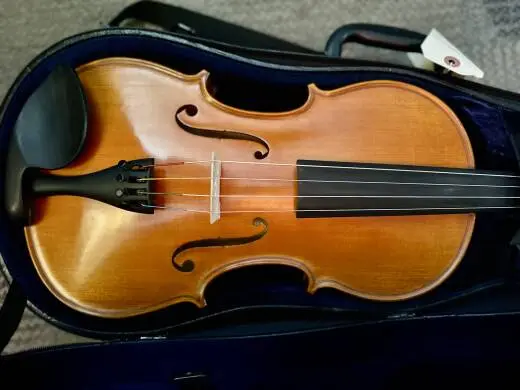 GLIGA VASILE VIOLA GAMA 2 16 2