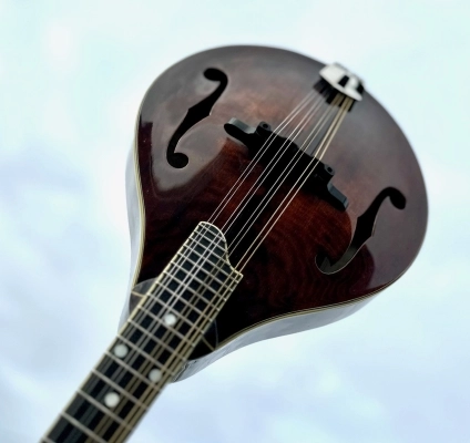Eastman Guitars - MD505
