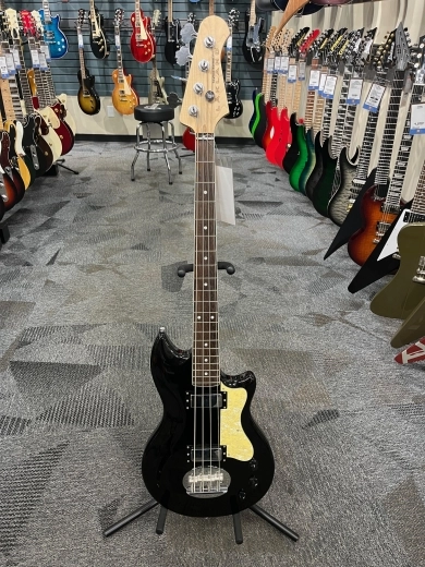 Lakland Skyline Bass