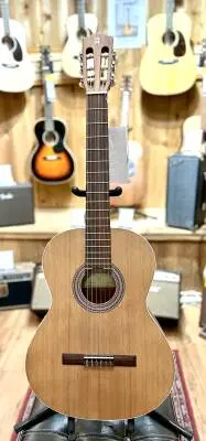 Alhambra Guitarras - Z-NATURE