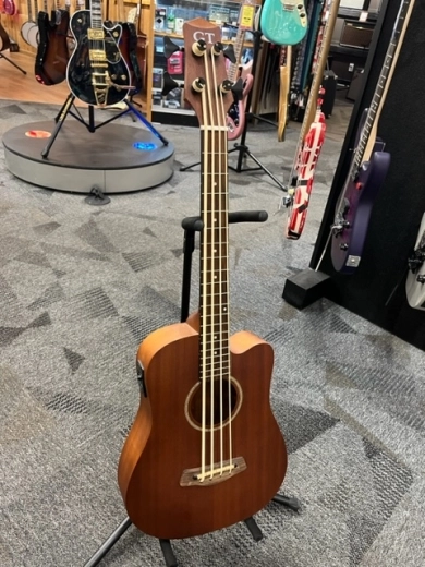 Gold Tone - MICRO BASS 2