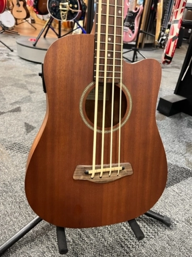Gold Tone - MICRO BASS