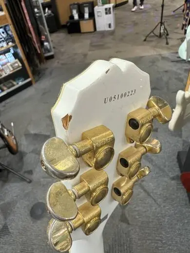 Epiphone - EGLCAWGH 2