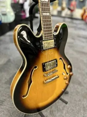 Epiphone - SHERVSGH 2