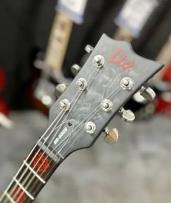 ESP Guitars - LBB600BQMSTBLKS 2