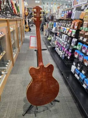 Gretsch Electromatic LTD Flame Okoume Broadkaster Double-Cut with Bigsby, Rosewood Fingerboard - Roundup Orange 2