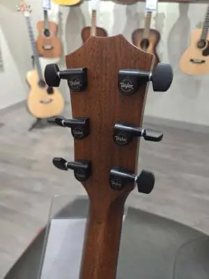 Taylor Guitars - 324CE 2