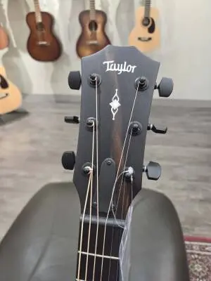 Taylor Guitars - 324CE 2