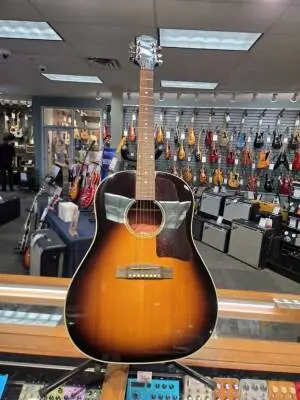 Epiphone - EISLASH45NVNH 2