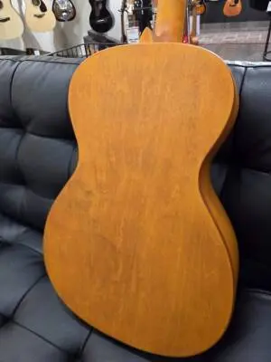 EPIPHONE DOBRO HOUND DOG ROUND NECK 2