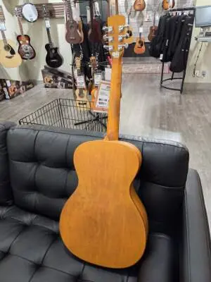 EPIPHONE DOBRO HOUND DOG ROUND NECK 2