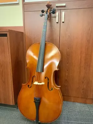 Eastman Strings - VC80ST 4/4 OF