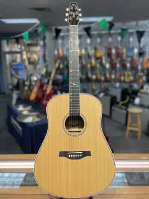 Seagull Guitars - Artist Mosaic EQ Acoustic/Electric Guitar with Gigbag 2