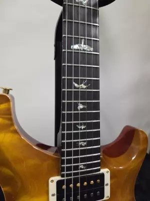 PRS CUSTOM 24 WOOD LIBRARY 2