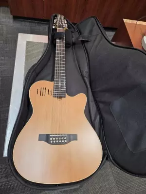 Godin Guitars - A12 NATURAL SG W/VBGAC BAG 2