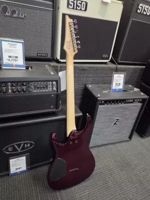 Ibanez - S521BBS 3