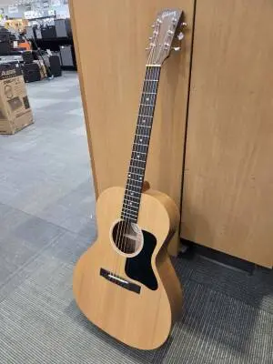Gibson - ACG00ANNH 2