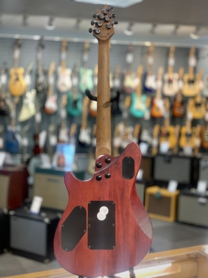 Store Special Product - EVH - 510-7003-513