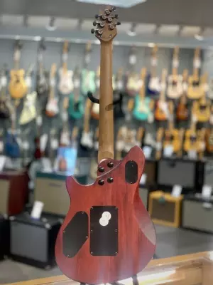 EVH - 510-7003-513 2