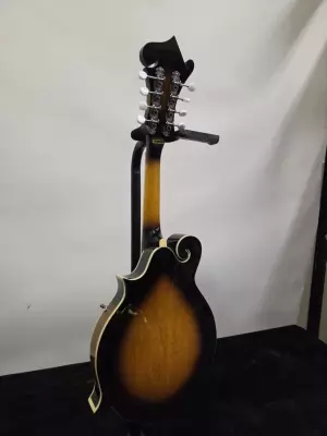 Store Special Product - Gold Tone - GM-35
