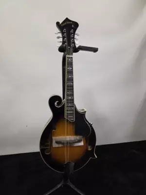 Store Special Product - Gold Tone - GM-35